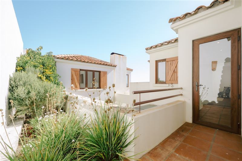 Proyecto Tortugas Cachagua